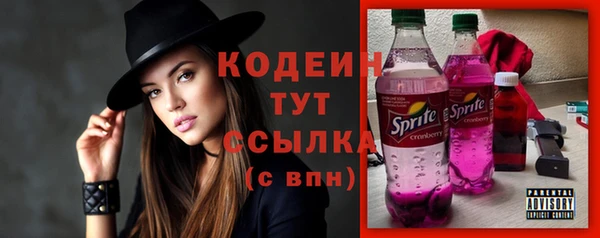 индика Медногорск