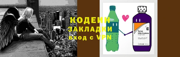 индика Медногорск