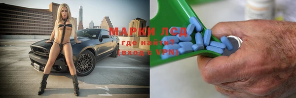 индика Медногорск
