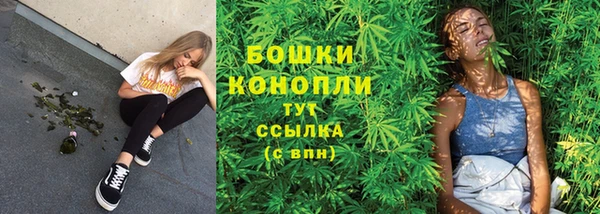 индика Медногорск