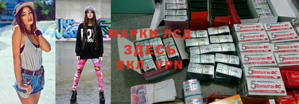 индика Медногорск