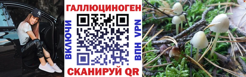 Псилоцибиновые грибы прущие грибы  наркошоп  Яблоновский 